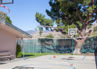 Volleyball net and basketball court for outside recreation